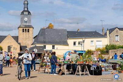 Image VIDE-JARDIN (photo 1)