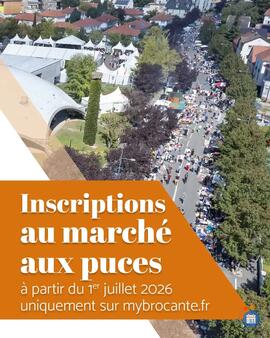 Image marché aux puces (photo 1)