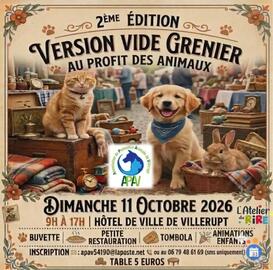 Image 2ème édition version Vide Grenier au profit des animaux (photo 1)