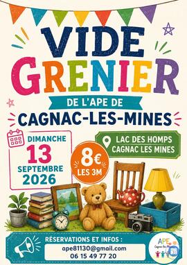 Image Vide Grenier de l'APE (photo 1)