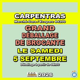 Image Grand déballage de brocante au marché gare écoparc (photo 1)