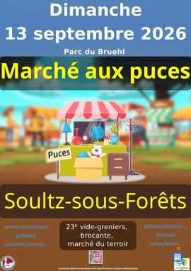 Image Marché aux puces de Soultz-sous-forêts (photo 1)