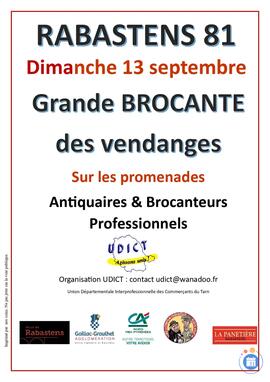Image BROCANTES RABASTENS 81 (photo 1)