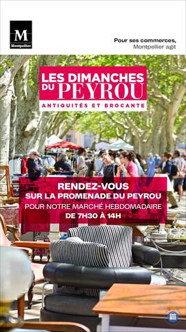 Image Les Dimanches du Peyrou sur La Promenade Royale (photo 1)