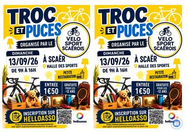 Image TROC ET PUCES (photo 1)