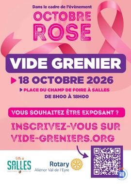 Image VIDE GRENIER ROTARY ALIENOR VAL DE L'EYRE - OCTOBRE ROSE (photo 1)