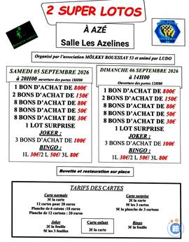 Image Loto animation ludo (photo 1)