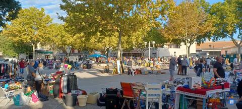 Image Vide-grenier de la pertuisienne (photo 1)