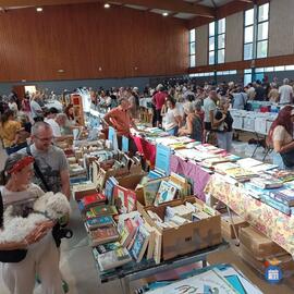 Image Brocante et collections, LIVRES et VINYLES (photo 1)
