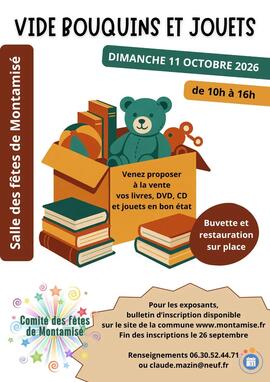Image Vide bouquins et jouets (photo 1)