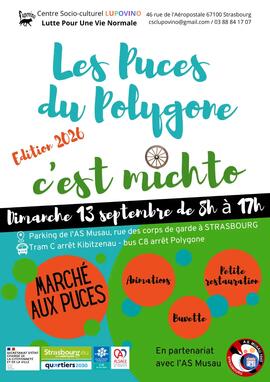 Image Puces du Polygone (photo 1)