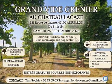 Image Vide grenier au profit de l'association aiguillon dog center (photo 1)