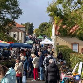 Image GRAND VIDE GRENIER / FOIRE A TOUT (photo 1)