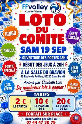 Image LOTO Comité Vienne de Volley animé par Elisabeth Loto (photo 1)