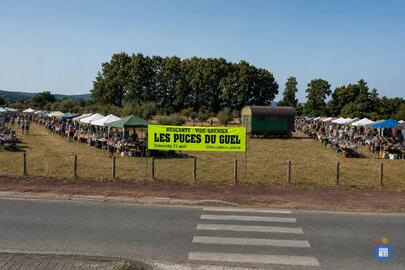 Image LES PUCES DU GUEL (photo 1)