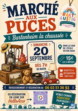 Image MARCHÉ AUX PUCES BARTENHEIM-LA-CHAUSSEE (photo 1)