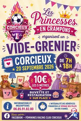 Image Vide grenier des princesses en crampons (photo 1)