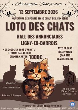 Image Loto des chats de Ligny-en-Barrois (photo 1)