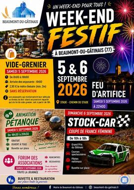 Image Vide grenier / Animation pétanque / Feu d'artifice (photo 1)