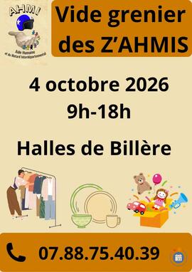 Image Le vide grenier des z'ahmi (photo 1)