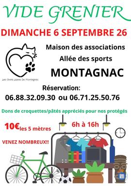 Image VIDE GRENIER DES CHATS LIBRES DE MONTAGNAC (photo 1)