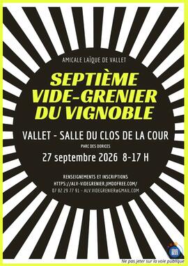 Image 7em VIDE GRENIER DU VIGNOBLE (photo 1)