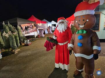Image MARCHE DE NOEL ARTISANAL ET GASTRONOMIQUE (photo 1)
