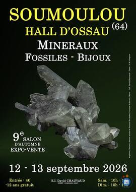 Image 9e SALON MINERAUX FOSSILES d'automne de SOUMOULOU (64) (photo 1)