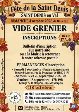 Image vide grenier de la saint denis (photo 1)