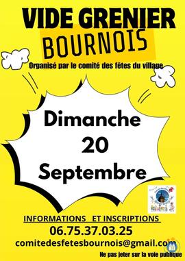 Image Vide grenier Bournois (photo 1)