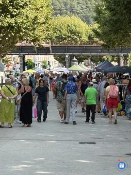 Image vide grenier de voiron (photo 1)