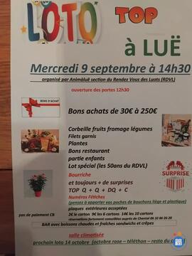 Image LOTO TOP (photo 1)