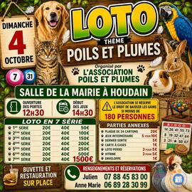 Image Loto méga (photo 1)