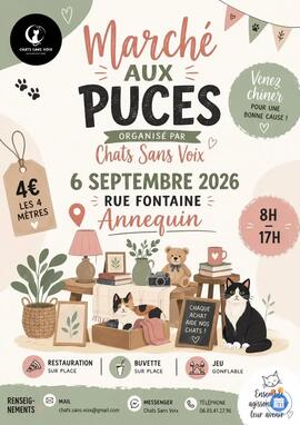 Image Marché aux Puces - Annequin (photo 1)