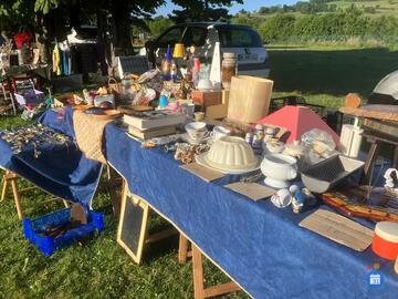 Image Vide grenier, exposition bovine (photo 1)