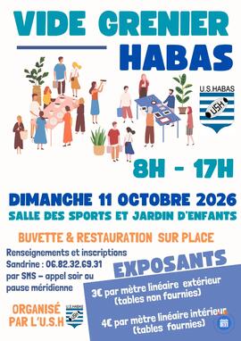 Image VIDE GRENIER DE L'USH (photo 1)