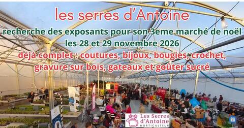 Image Marche de Noël (photo 1)