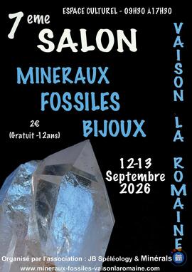 Image SALON AUX MINERAUX ET FOSSILES (photo 1)
