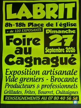 Image FOIRE AU CAGNAGUE (photo 1)