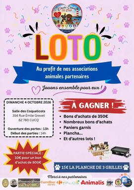 Image Loto canin caritatif (photo 1)
