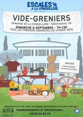 Image Vide-greniers dans un Domaine ! (photo 1)
