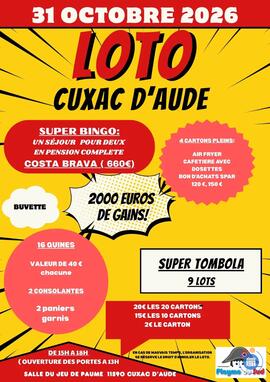 Image LOTO PLAYMO DU SUD (photo 1)
