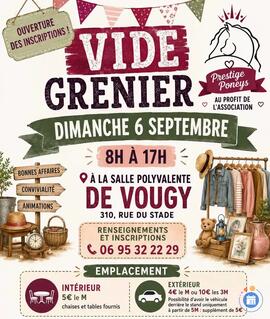 Image Vide grenier de la fête des pruneaux (photo 1)