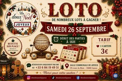 Image Loto de Joyeux (photo 1)