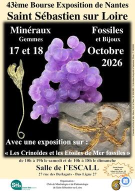Image 43ème bourse exposition-vente de minéraux, fossiles et pierres taillées (photo 1)