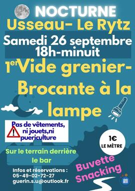 Image Vide Grenier Brocante Nocturne (photo 1)