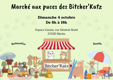 Image Marché aux puces des Bitcherkatz (photo 1)