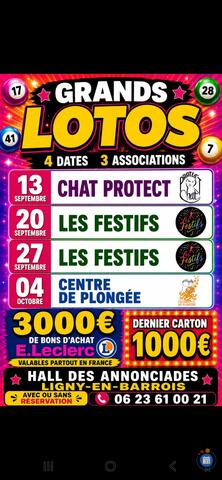 Image Lotos des associations de Ligny-en-Barrois (photo 1)