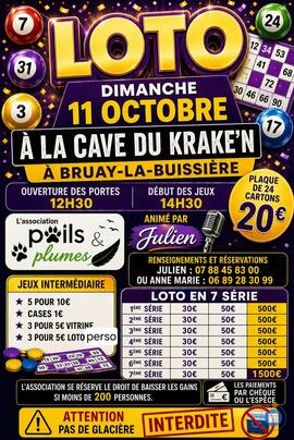 Image MEGA LOTO (photo 1)