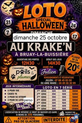 Image MEGA LOTO (photo 1)